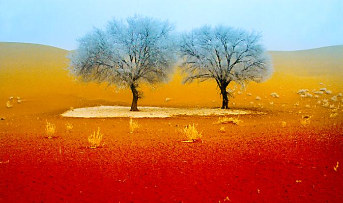 宁夏沙坡头自由行旅游攻略,宁夏旅游沙坡头攻略