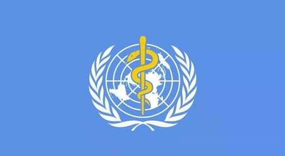 3dm晚报视频完整版,3d晚报