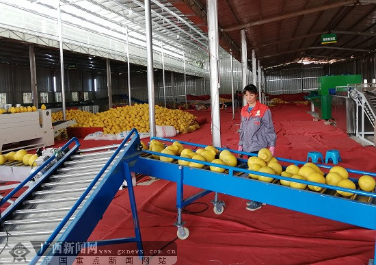 玉林市乡村振兴,玉林乡村振兴容县