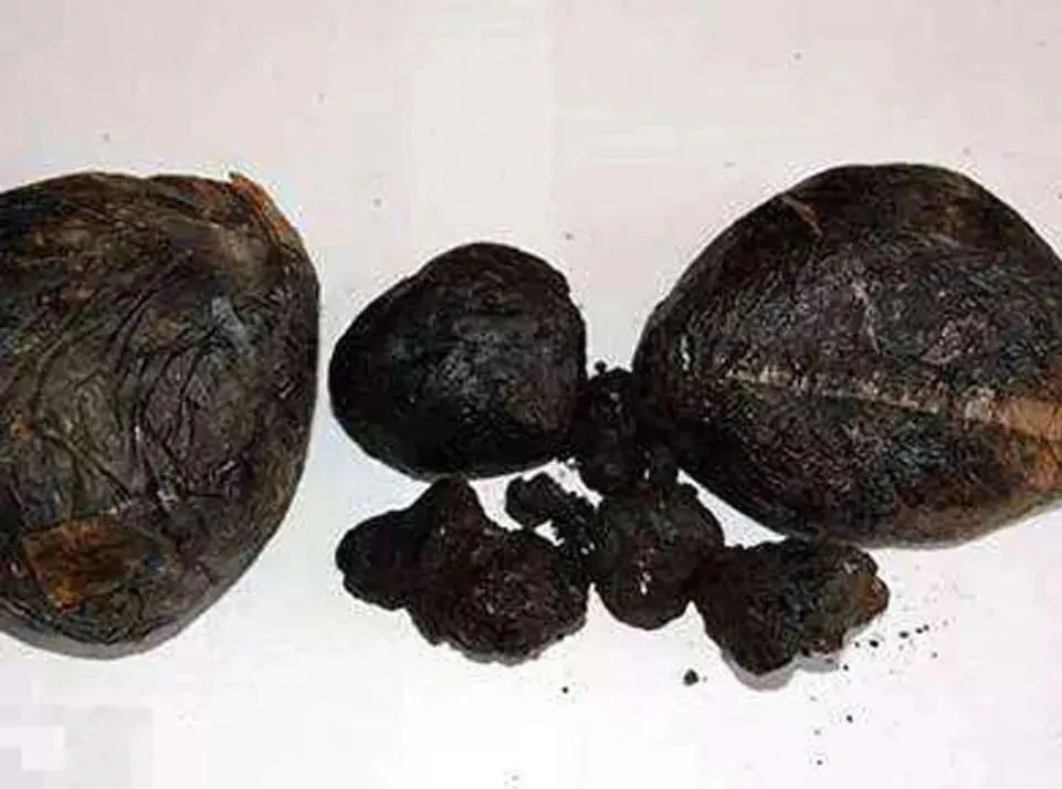 别不信，这些*品毒**你可能认不出来！