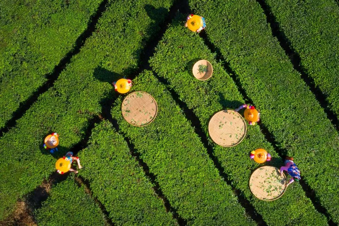 泉州游玩露营攻略路线,福建泉州自驾游带孩子最好去处