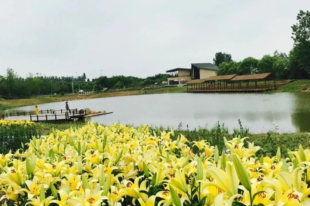 南京江宁网红打卡点有哪些,春日限定江宁新晋网红打卡点出炉