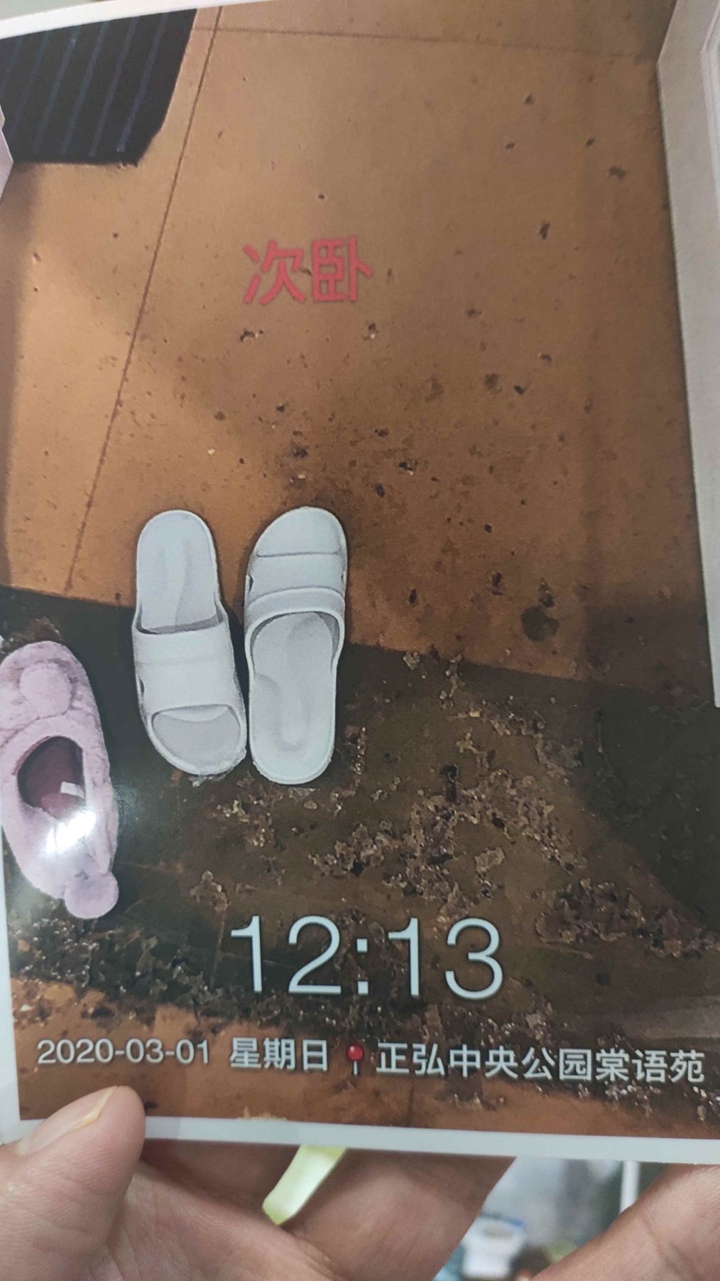 新房惨淡变粪水池,新房变成化粪池