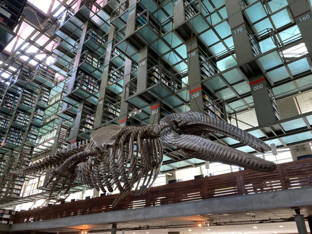 无为而为的浪漫，不得不去的墨西哥在召唤