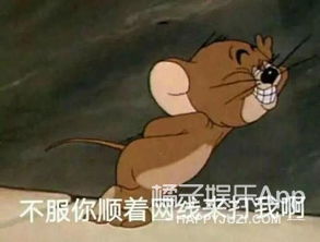 饭圈鞠婧祎虞书欣搞笑,虞书欣蹭饭王耀庆一个眼神秒怂