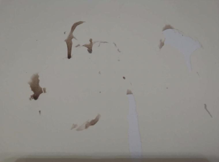 鍧戜汉鐜╁叿鎺ㄨ崘,鐩樼偣閭ｄ簺鍧戜汉鐜╁叿