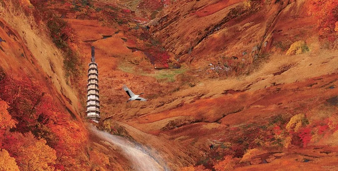 软硬件+转码/延时+剪辑+调色，纪录片后期制作电影化流程“全套”揭秘