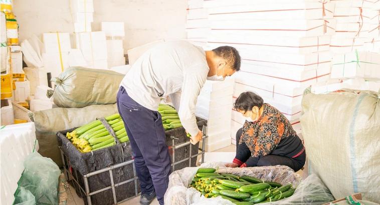 寿光蔬菜电商主要是通过什么销售,寿光菜农电商新闻