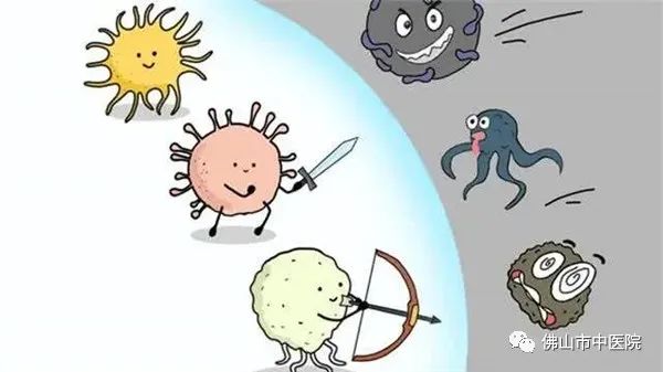 老中医特效药配方,老中医常用特效药