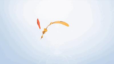 郑州租赁纠纷,自贸区法庭