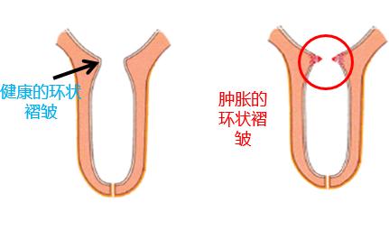 奶牛养殖技术难题及答案,奶牛接产常见问题