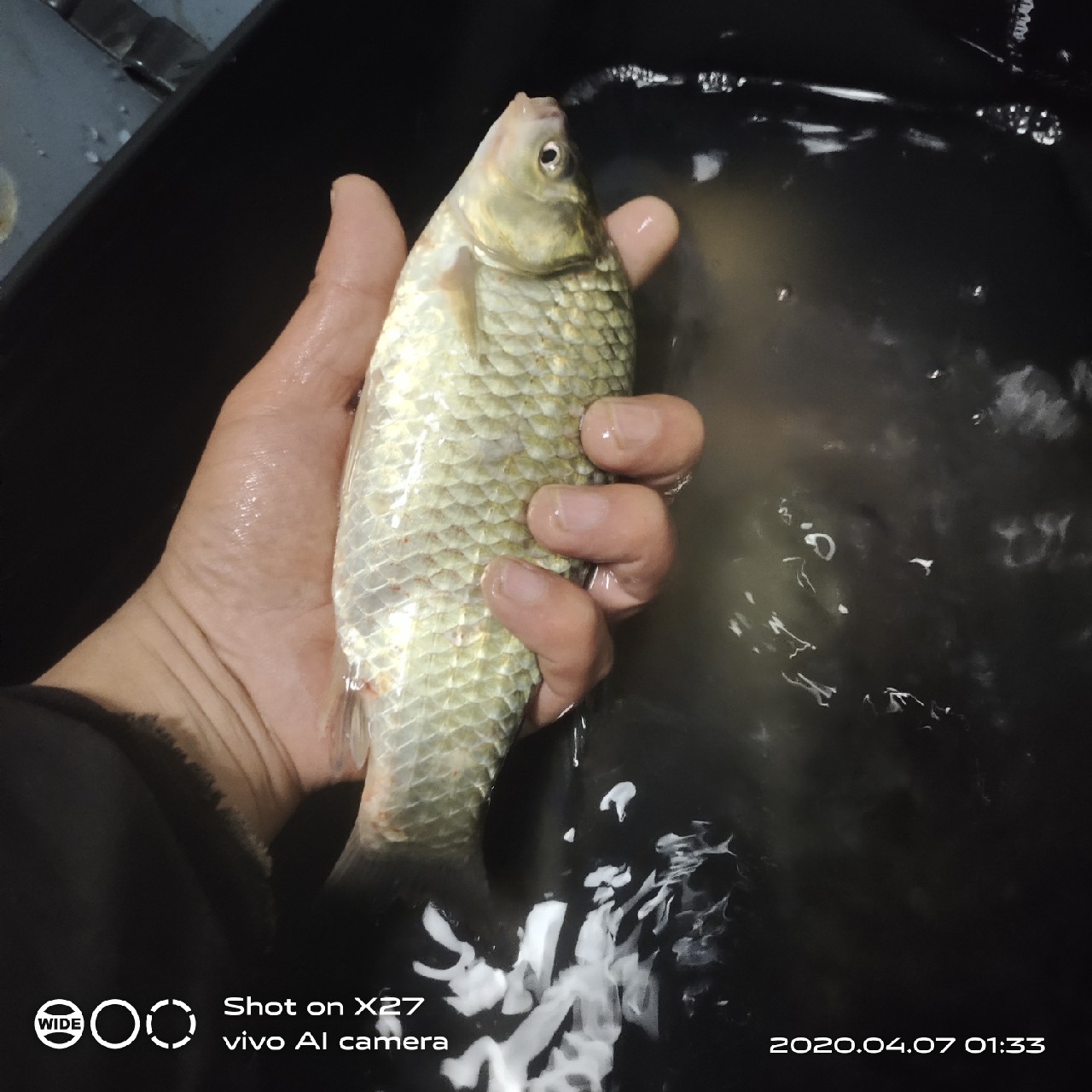 秋季野钓有鱼无口,鲫鲤兼钓技巧