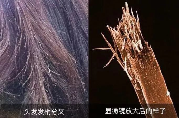 玻尿酸吸水干发帽,干发帽吸水速干不伤头发轻薄透气