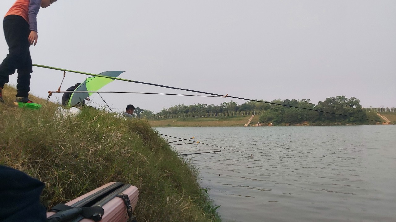 邕江巴西军团覆灭小记,钓友全军出击