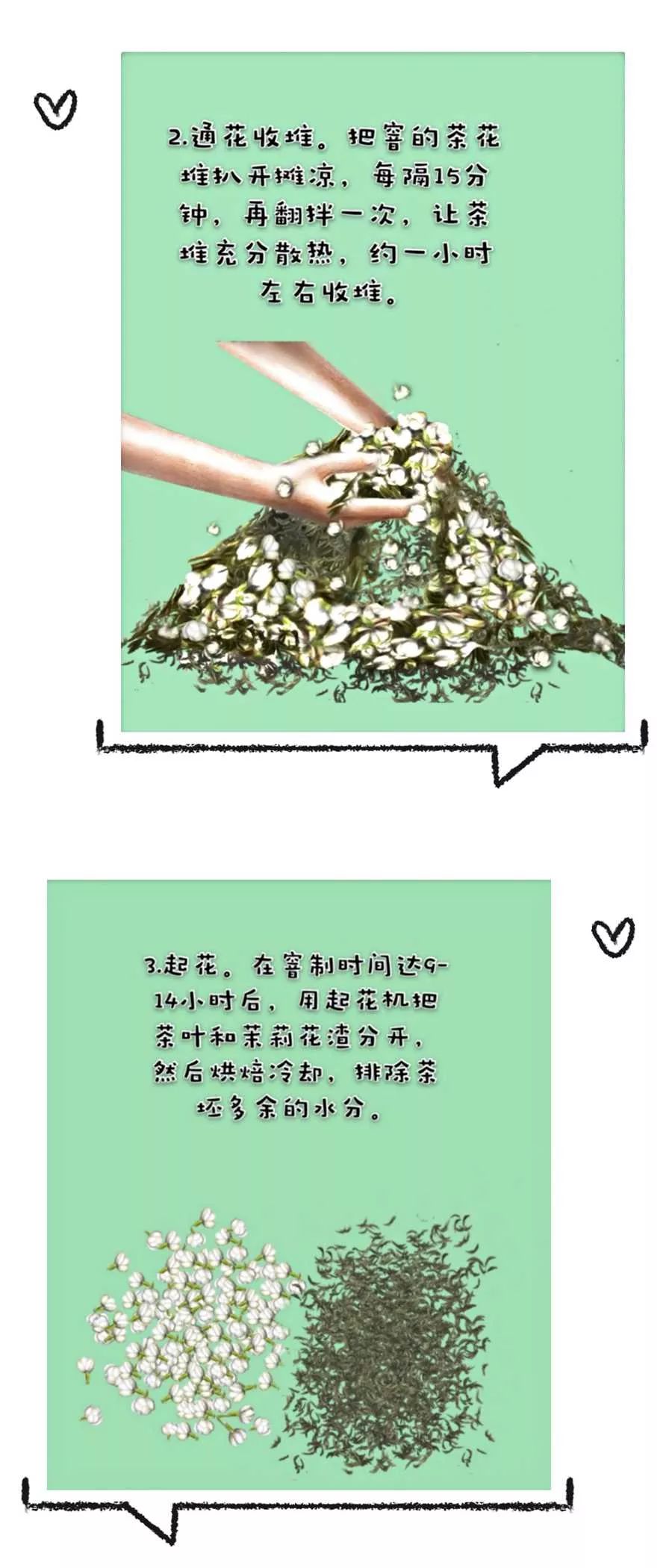 舌尖上的非遗横县茉莉花茶,非遗广西横县茉莉花茶