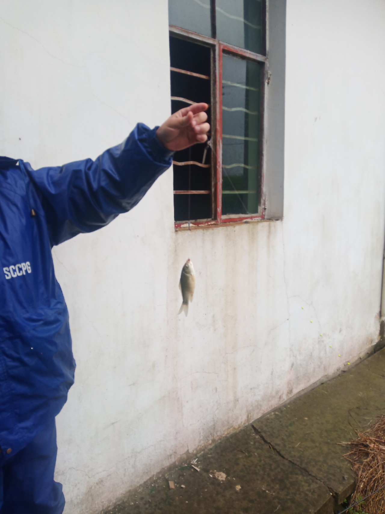 台钓vs路亚哪个更好玩,传统钓比台钓更容易钓获大鲫鱼