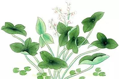 传统的中医针灸治疗更年期综合征|《更年期的智慧》第六章第3节