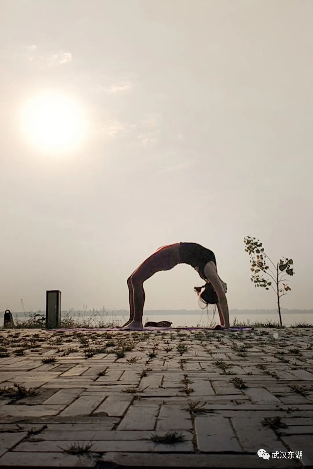 武汉解封后，我最先奔向了东湖