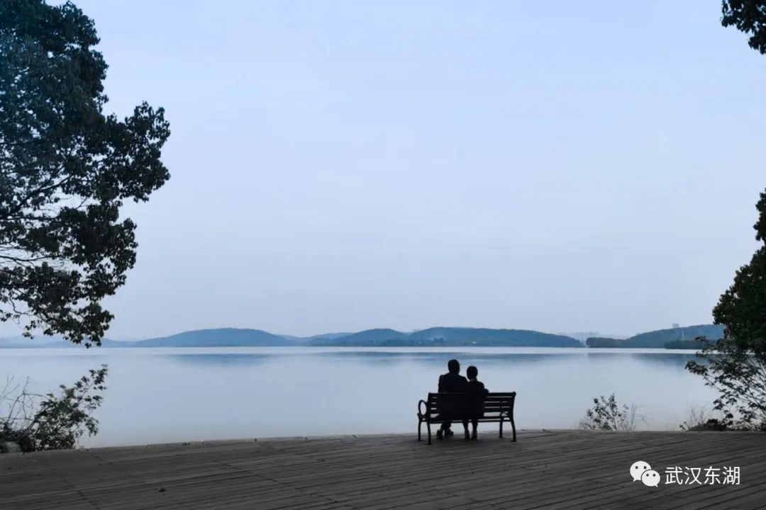 武汉解封后，我最先奔向了东湖