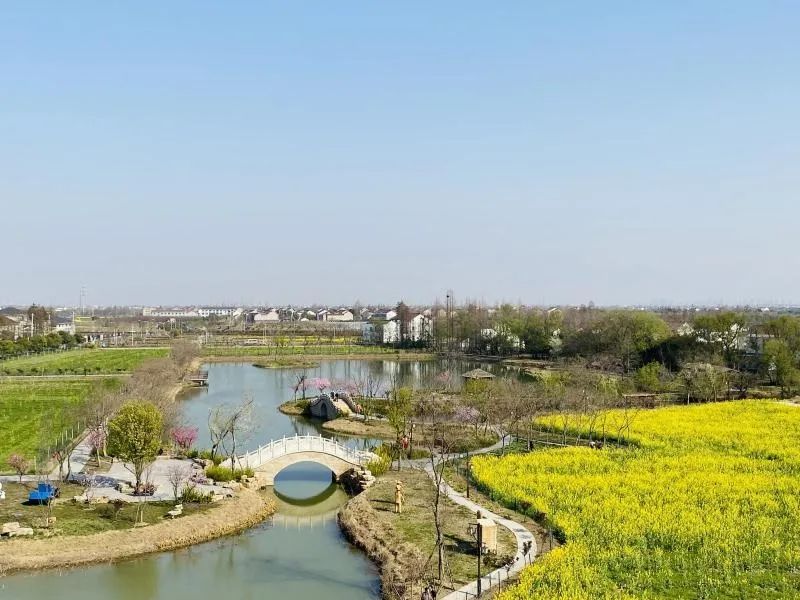 常州周末旅游景点推荐,常州最美乡村