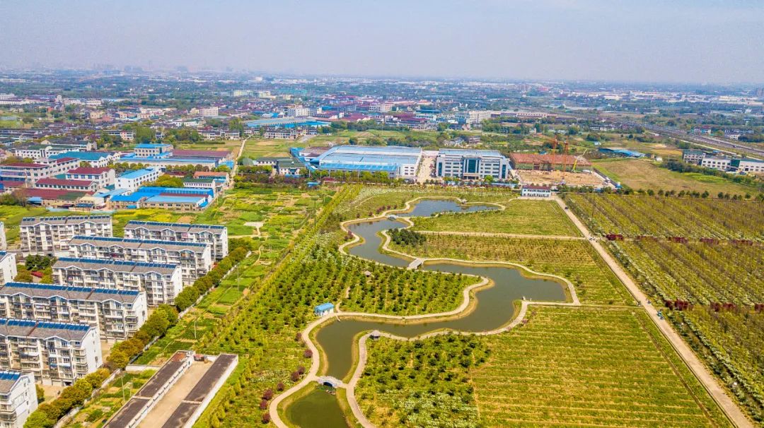 常州周末旅游景点推荐,常州最美乡村