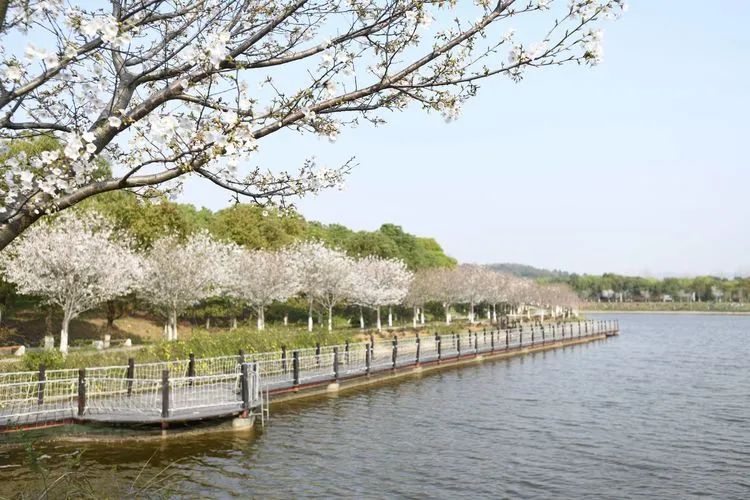 常州周末旅游景点推荐,常州最美乡村