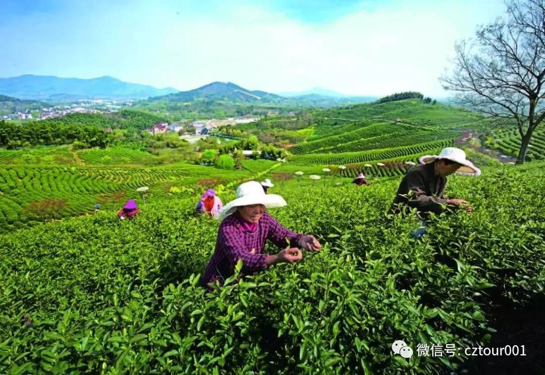 常州周末旅游景点推荐,常州最美乡村