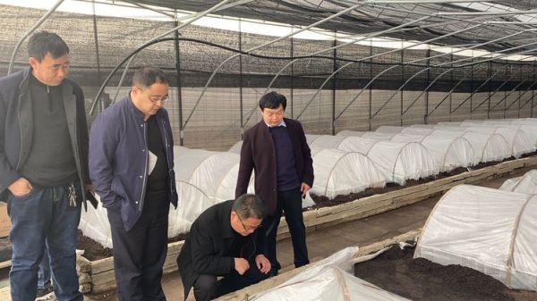 泗阳县县委书记叫什么名字,泗阳县县委书记叫什么