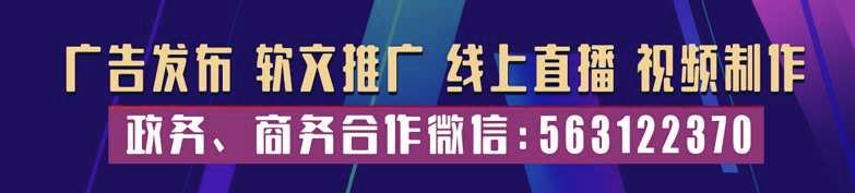 刷信用卡盗刷33万元,信用卡被盗刷33万
