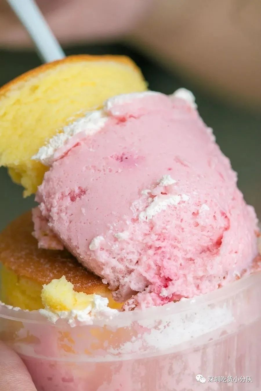 0℃面包，火来深圳了