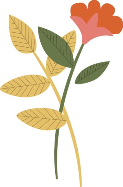 黄浦“青”购物丨限定市集nikoand…来了！在日本也难买的创意设计品牌统统集结！