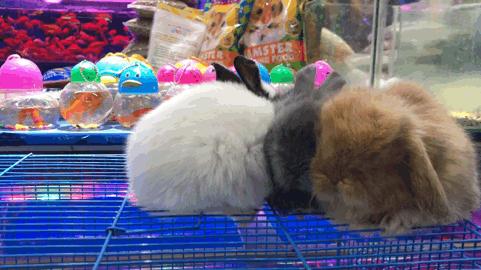 吴山游玩攻略,吴山景区自由行热门攻略