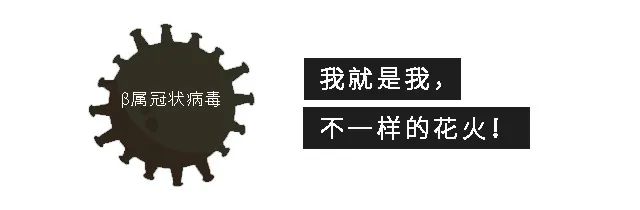 冠状病毒真相曝光,新型冠状病毒族谱