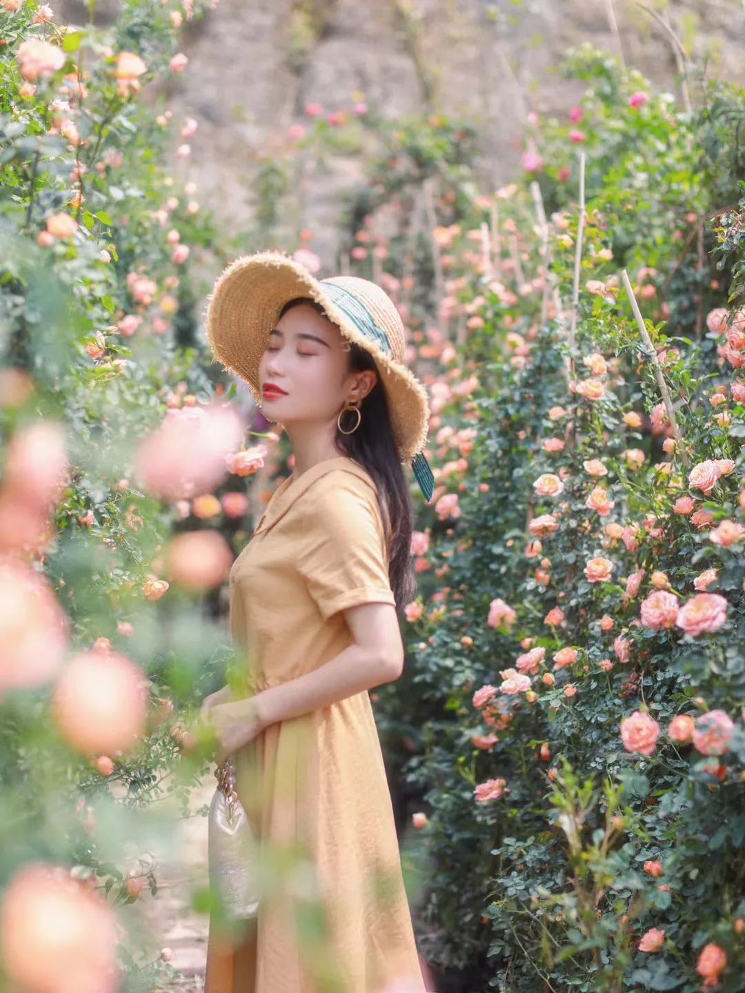 重庆最大的花市需要门票么,重庆最大的花市怎么走