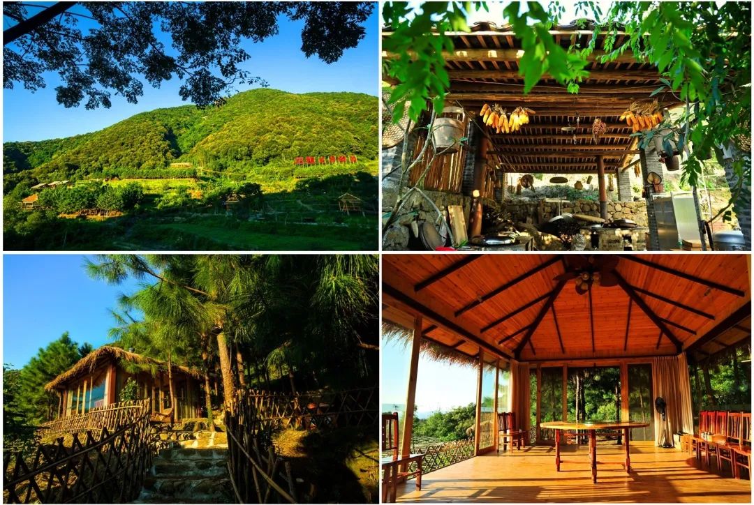 茶香禅韵入梦完整视频,世外桃源神仙度假地