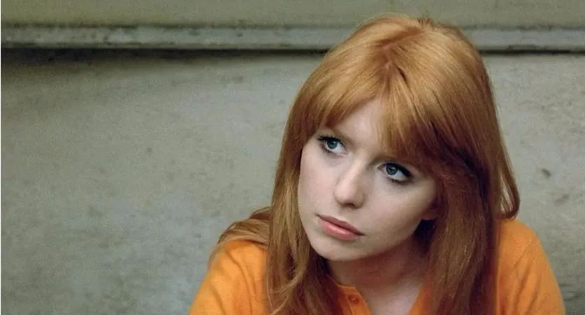 一级香艳预警！这才是好看的微情色啊