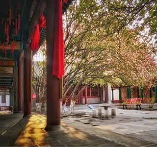 养老金迎上调窗口期新闻,养老金上调宣传报道