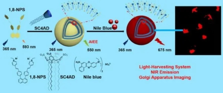 东南大学近期科研成果扫描