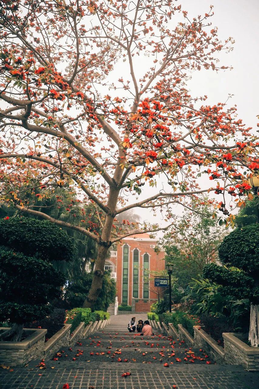 鼓浪屿值得住一晚吗,厦门鼓浪屿哪里值得玩