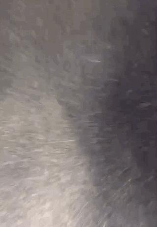 为什么房子里总有小毛毛,为什么房子里面会长蘑菇科学探究