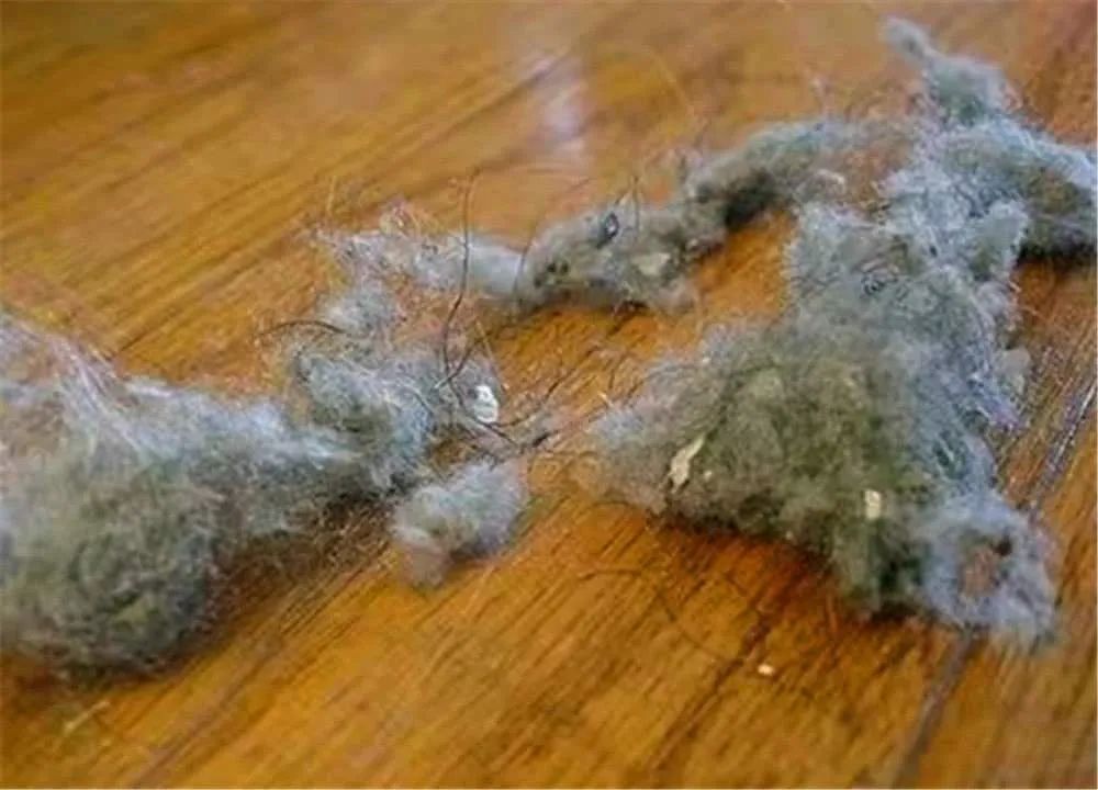 家里毛絮太多能怎么解决,家里到处都是毛絮怎么解决