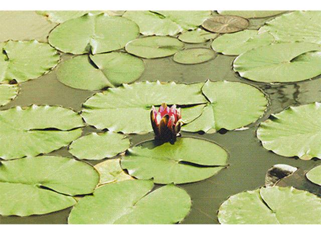 浮生御温泉度假村399团购,浮生御温泉酒店优惠券领取