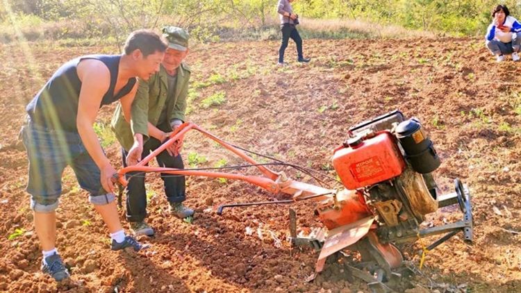 秦奋有新貌丨拔穷根、开富源西乡脱贫摘帽努力实现人人有产业