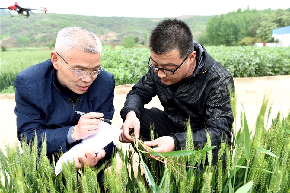 “这个病不可怕，咱的‘飞机’能治它”