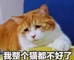 汽车检测合格标志到期后在哪里领,车辆检验标志过期了没领怎么办