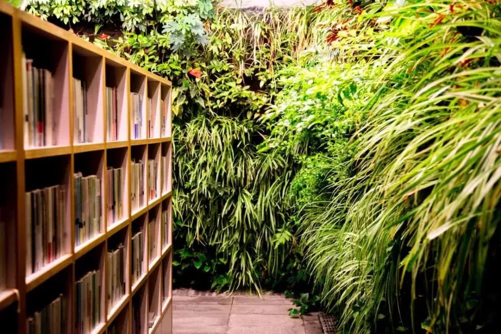 【双语】Shh,thebookcouponsarecoming遍布郑州的书“券”气