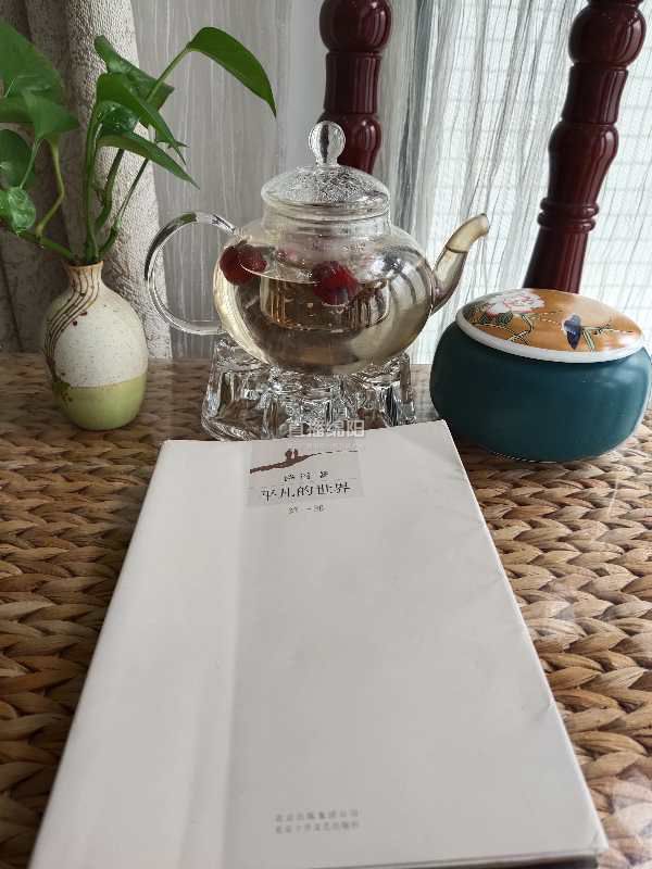 读书日读一本红色经典书,世界读书日师生共读活动美篇