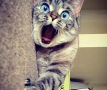 运动这个词大家都理解错了吗,运动已经是一个老生常谈的词了