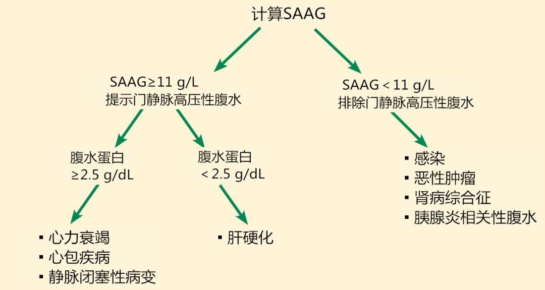 肝腹水自我诊断,肝硬化腹水鉴别诊断模板