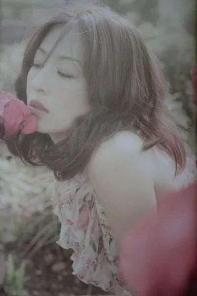 日本47个都道府县的魅力,日本47个都道府县的颜值